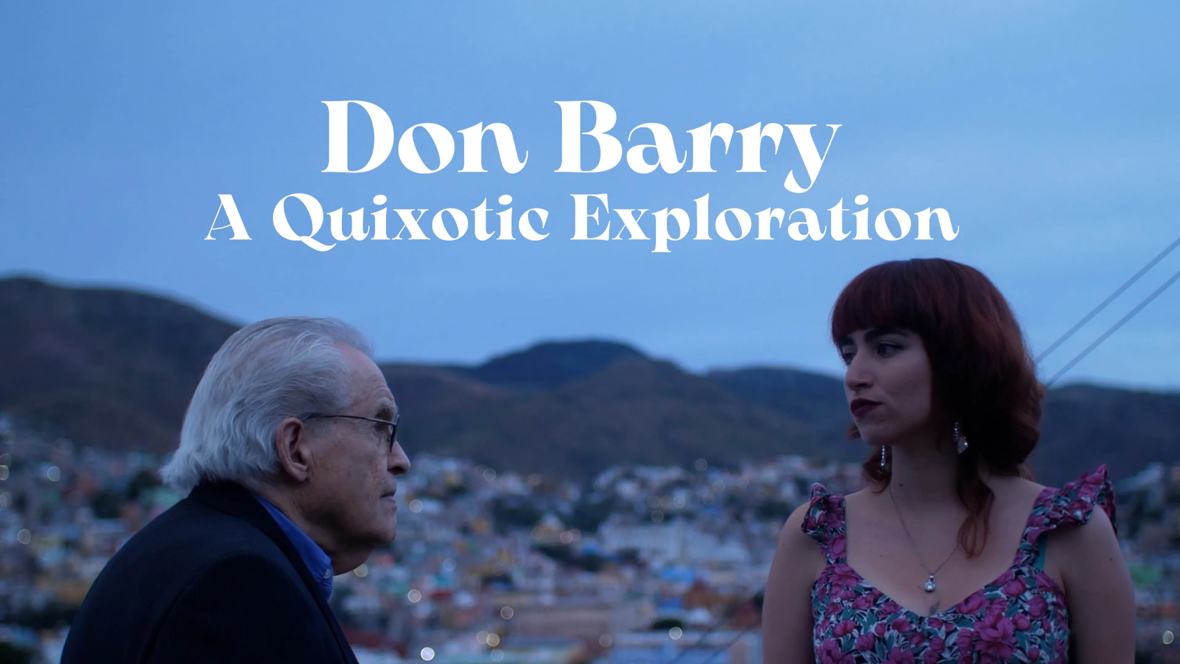 Don Barry: A Quixotic Exploration poster
